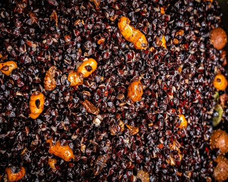 Ready to Fish King Mix 2kg